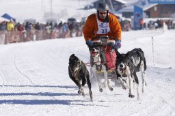 Lenk 2013